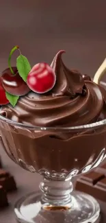 A glass bowl of dark chocolate dessert topped with cherries.