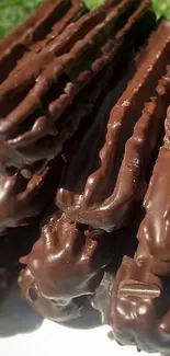 Chocolate-dipped churros stacked on a plate in sunlight.