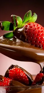 Strawberries dipped in rich chocolate against a dark background.