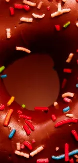Close-up of chocolate donut with colorful sprinkles.