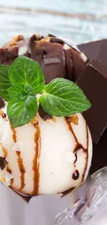 Creamy dessert topped with mint and chocolate drizzle.