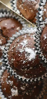 Chocolate muffins with powdered sugar on tray.