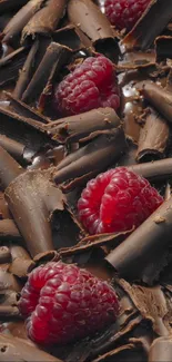 Close-up of chocolate shavings with fresh raspberries on top.