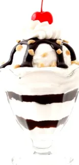 Indulge in a creamy chocolate sundae with a cherry.
