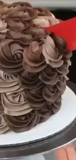 Chocolate swirl cake with intricate icing design on display.