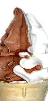 Chocolate and vanilla ice cream cone swirled beautifully.