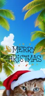 A cat in a Santa hat on a tropical beach with palm trees and the text 'Merry Christmas'.