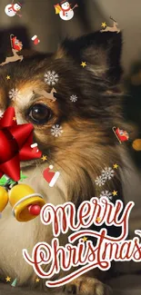 Festive Christmas dog wallpaper with Merry Christmas text.