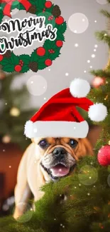 Dog in Santa hat by Christmas tree with decorations.