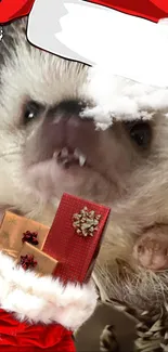 Festive hedgehog in Santa hat with Christmas gifts.