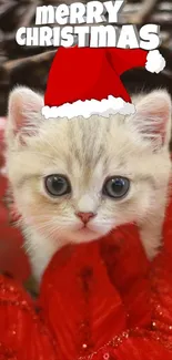 Adorable kitten in Santa hat with Christmas theme.