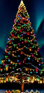 Christmas Tree Christmas Ornament Photograph Live Wallpaper