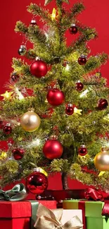 Christmas Tree Christmas Ornament Plant Live Wallpaper