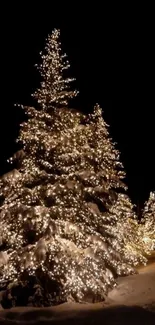 Snowy Christmas trees with glowing lights.