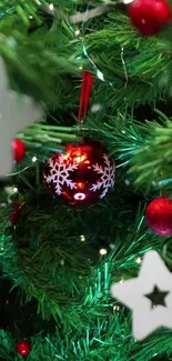 Close-up of Christmas tree with red ornament and white stars.