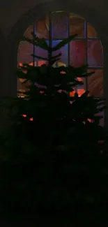 Christmas Tree Plant Branch Live Wallpaper