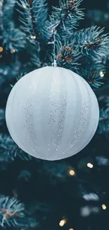 Festive white bauble hanging on a pine tree branch, creating a holiday atmosphere.