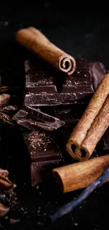 Cinnamon sticks resting on chocolate squares in a dark setting.