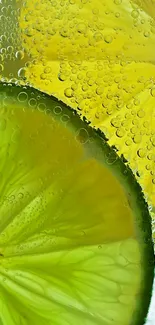 Close-up of lemon and lime slices with bubbles in fizzy detail.