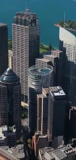 Stunning city skyline with skyscrapers and blue sky wallpaper.