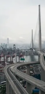 Cityscape with modern bridge and skyline, soft gray tones