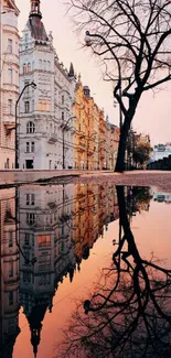 Cityscape reflected on water during sunset, with elegant buildings and bare tree.