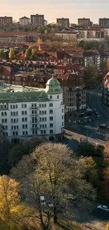 Aerial view of a cityscape with autumn colors and classic architecture.