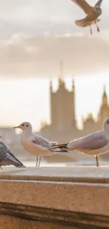 Serene city skyline with birds at sunset, perfect as a mobile wallpaper.