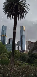 Palm tree against city skyline with gray sky.