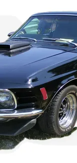 Classic black muscle car with vintage stance and glossy finish.