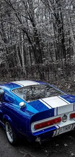 Classic blue car in tranquil forest setting.