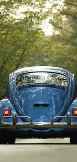 Classic blue vintage car on a forest road.