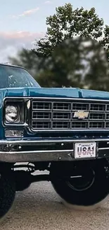 Classic blue Chevy truck on scenic road.