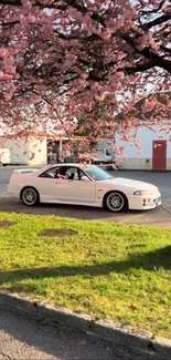 Classic white car under cherry blossoms in a vibrant spring scene.