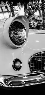 Black and white image of a classic car's front section.