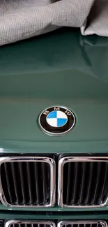 Close-up of a vintage green BMW with a shiny grille and classic emblem.