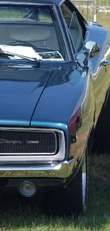 Front view of a classic vintage car with shiny chrome on a grassy field.