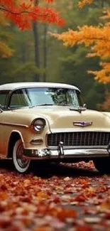 Vintage car amidst vibrant autumn foliage.