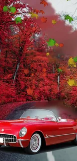 Classic red car on autumn road with vibrant leaves.