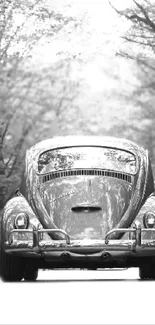 Vintage car on empty forest road in grayscale.