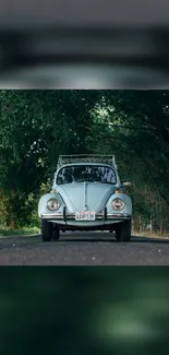 Vintage car driving through a forest road, surrounded by lush green trees.