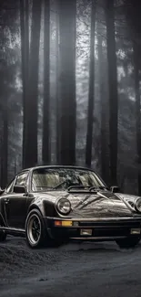 Classic car parked in a misty forest setting.