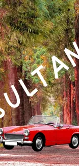 Red classic car in front of tall redwood trees with text Sultan.