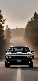 Classic car on a forest road during sunset.