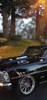 Vintage black car parked on a scenic street with sunlight through trees.