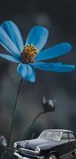 Vintage car beneath vibrant blue flower in artistic scene.