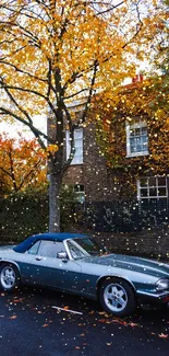 Classic convertible under autumn trees with golden leaves.