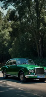 Classic green car on a sunny forest road.