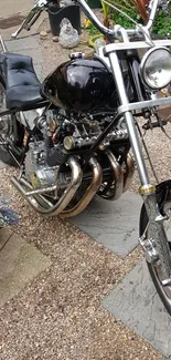 Vintage motorcycle parked in a lush garden with chrome details.