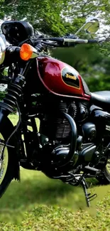 Classic motorcycle amidst lush green scenery.